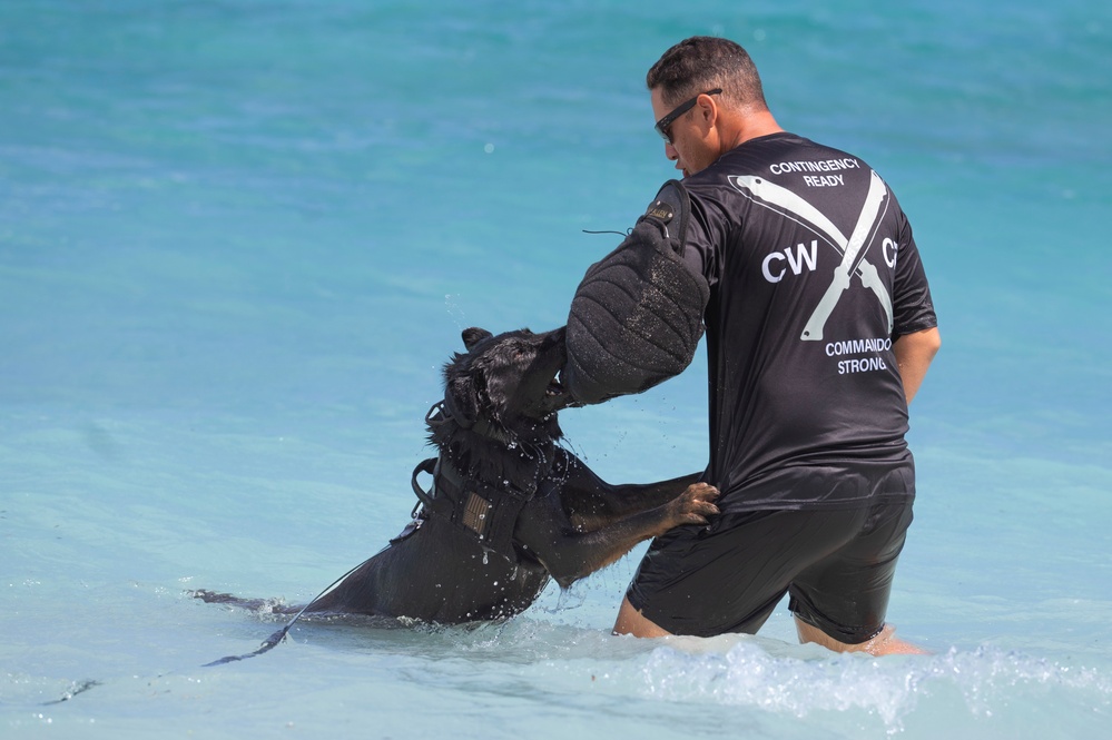 Combined MWD teams train during Pacific Defender