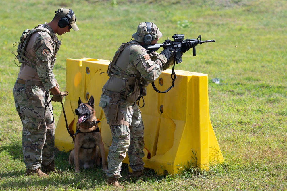 Combined MWD teams train during Pacific Defender