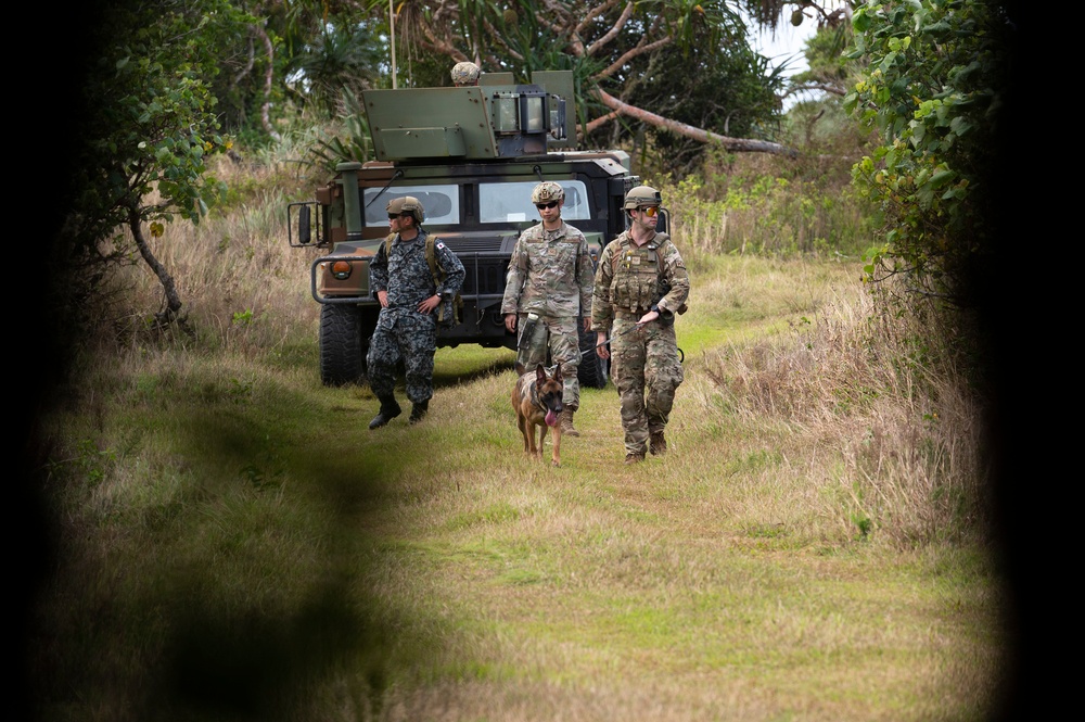 Combined MWD teams train during Pacific Defender