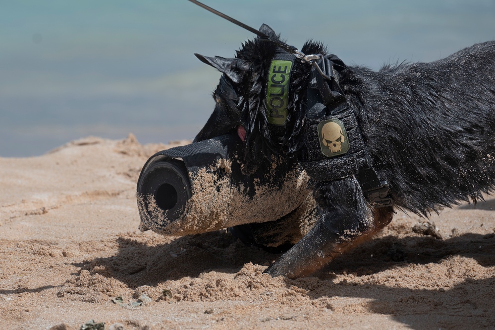 Combined MWD teams train during Pacific Defender