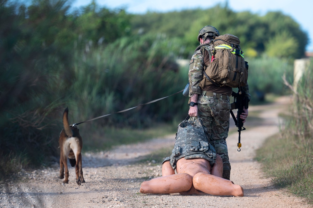 Combined MWD teams train during Pacific Defender