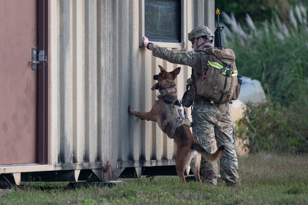 Combined MWD teams train during Pacific Defender