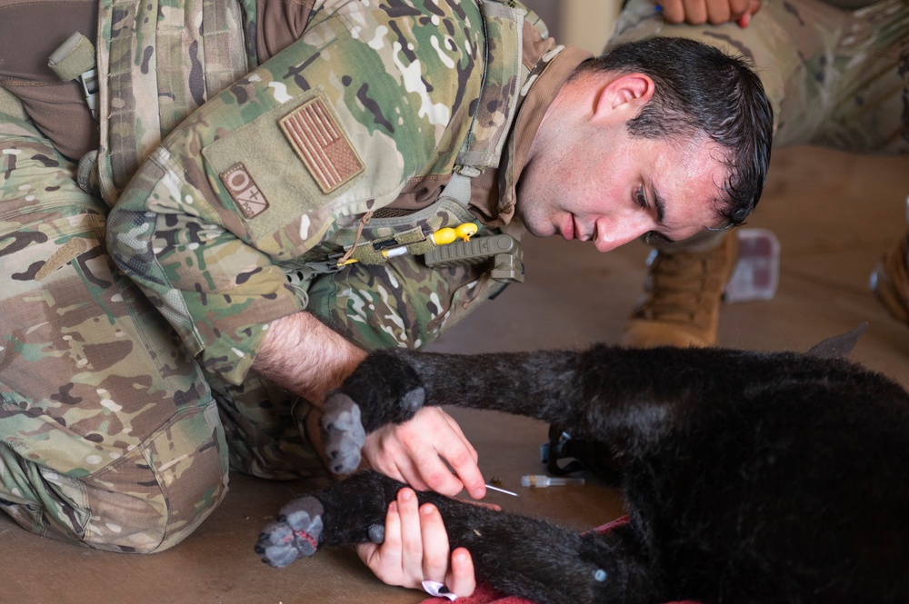 Combined MWD teams train during Pacific Defender