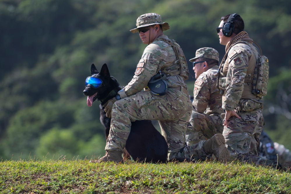 Combined MWD teams train during Pacific Defender