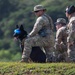 Combined MWD teams train during Pacific Defender