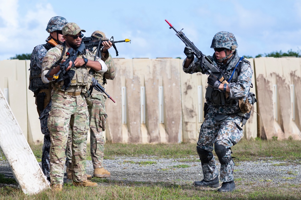 Partner Nations show-case skills at Pacific Defender