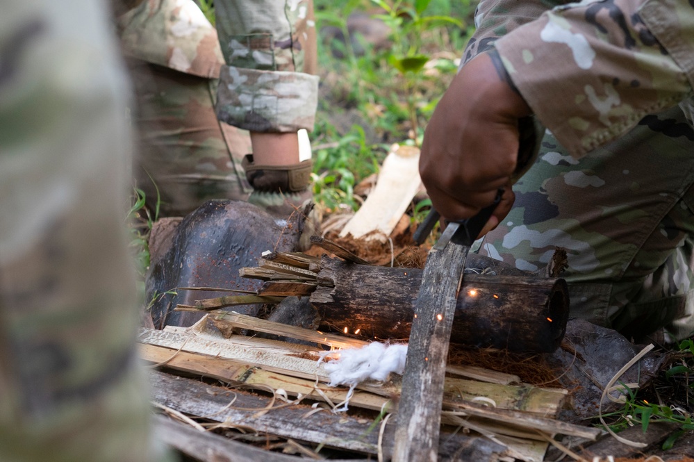 Partner Nations show-case skills at Pacific Defender