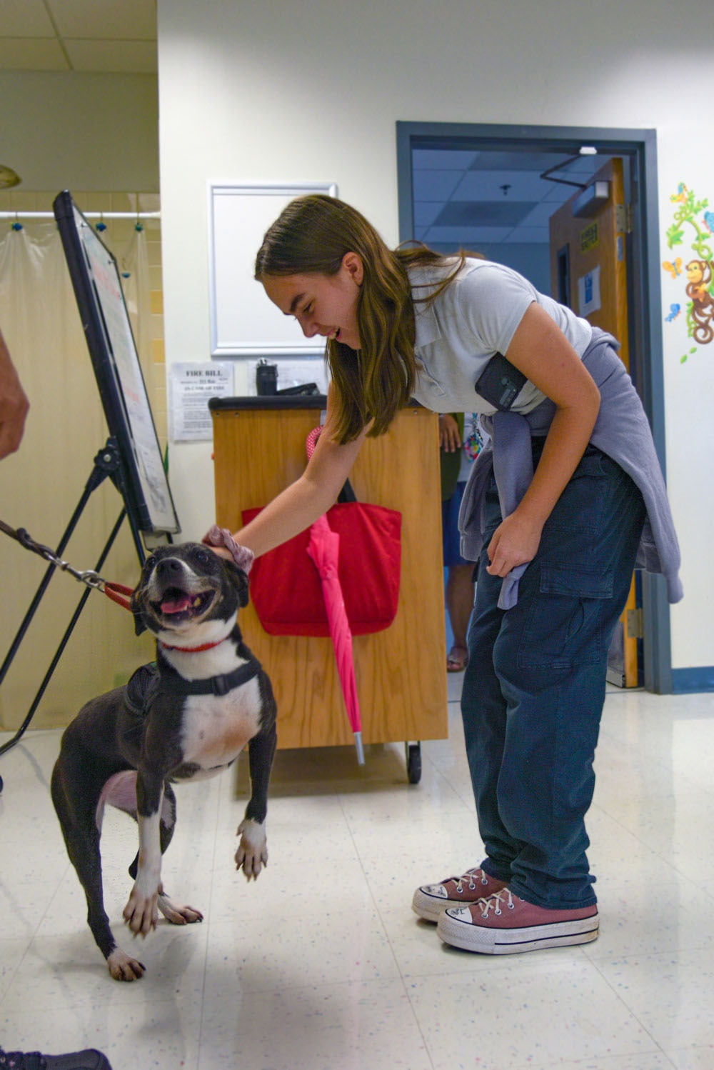 A YES Program Participants Meets Macy, a Brown Tree Snake Detection Dog