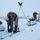 3rd ASOS special warfare Airmen conduct unsupported, sustained cold-weather training during Operation Agipen 2: Part II