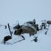 3rd ASOS special warfare Airmen conduct unsupported, sustained cold-weather training during Operation Agipen 2: Part II