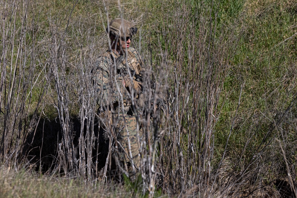 2nd Bn., 7th Marines competes in annual 1st MARDIV squad competition