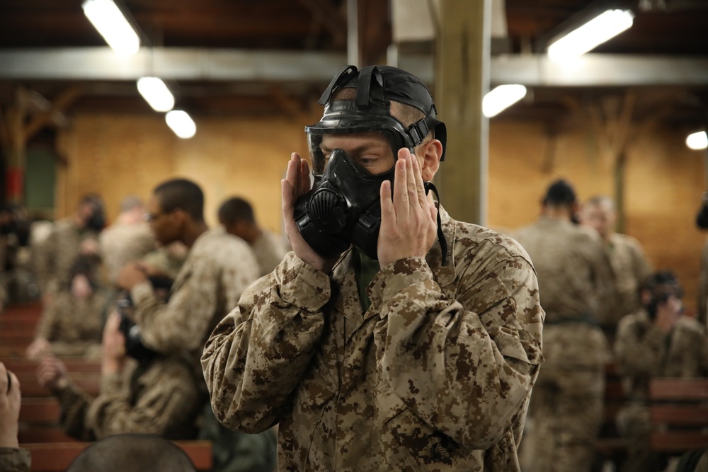 Delta Company Gas Chamber