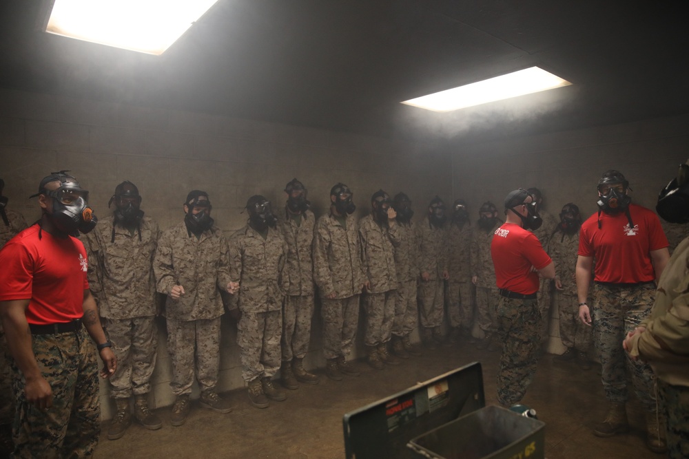 Delta Company Gas Chamber