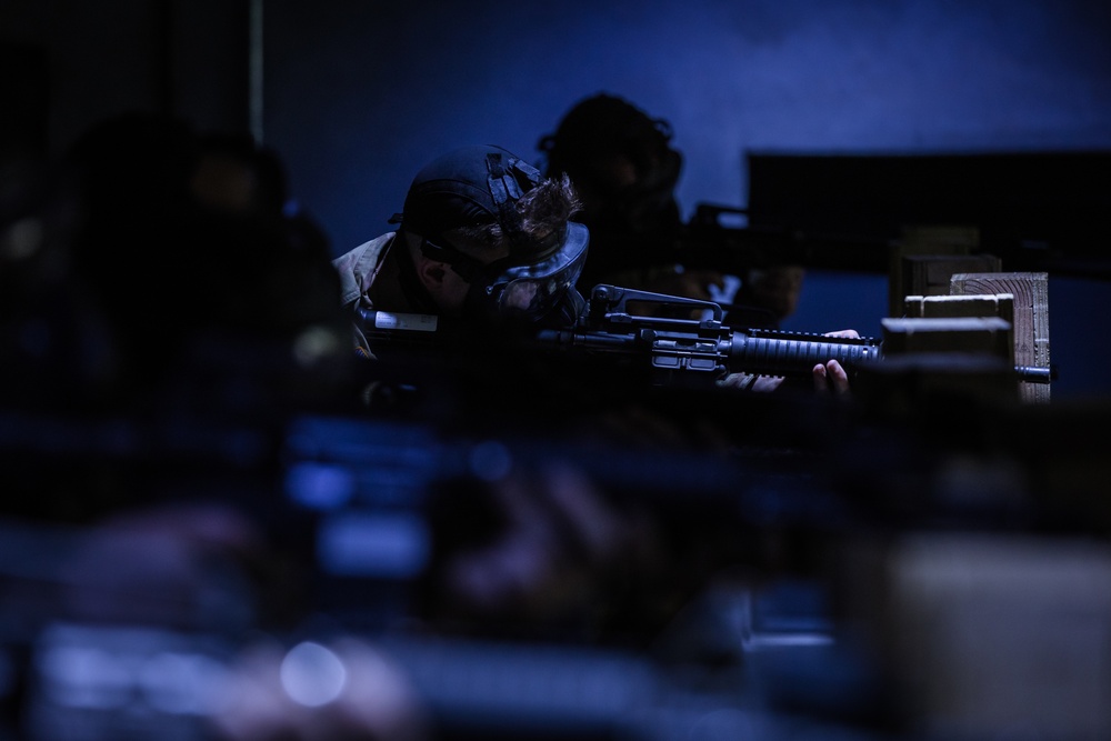 Virtual target practice