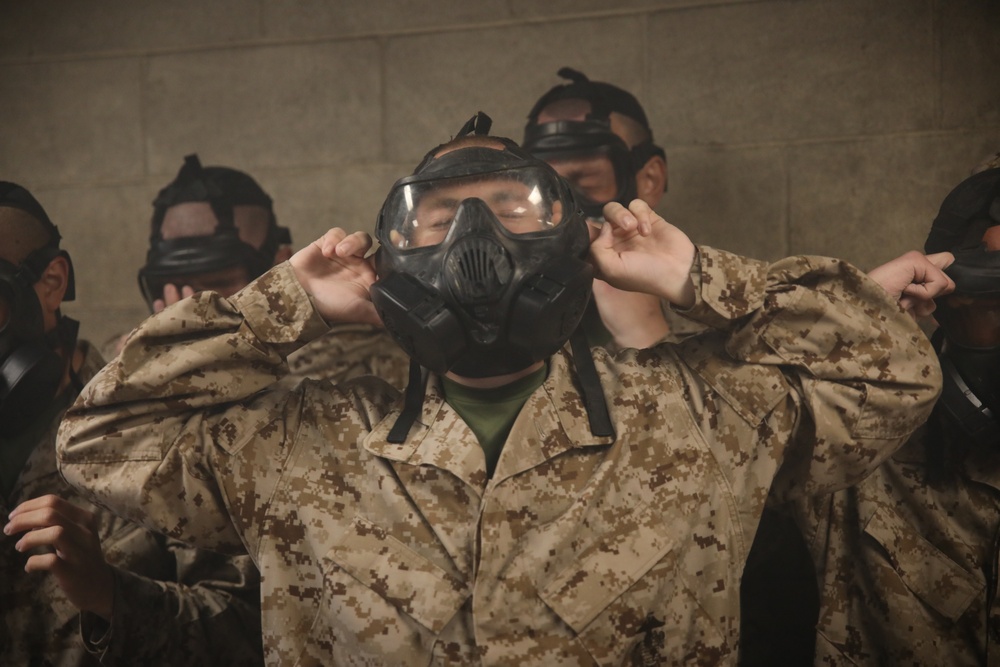 Delta Company Gas Chamber