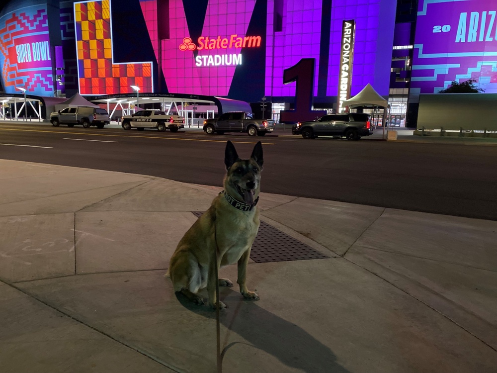 Coast Guard K-9 teams assist in Super Bowl LVII security