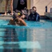 Team Navy Adaptive Sports Swimming Camp at JBPHH