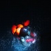 Dive into survival: SERE training