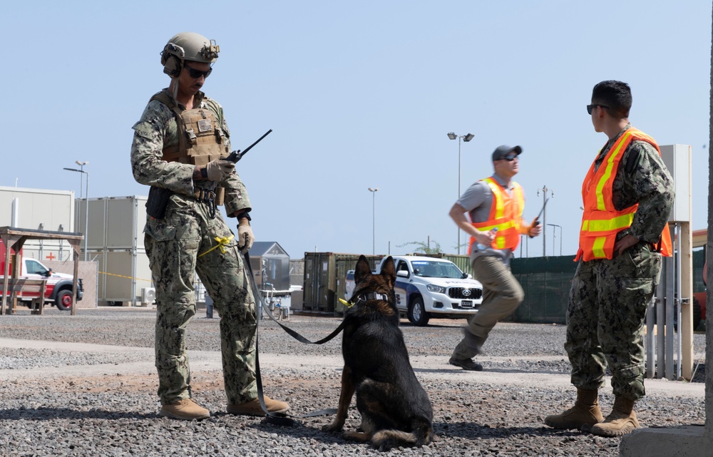 Security Training Exercise at Camp Lemonnier, Djibouti