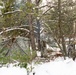 Air Force Cold Weather Training at Fort McCoy