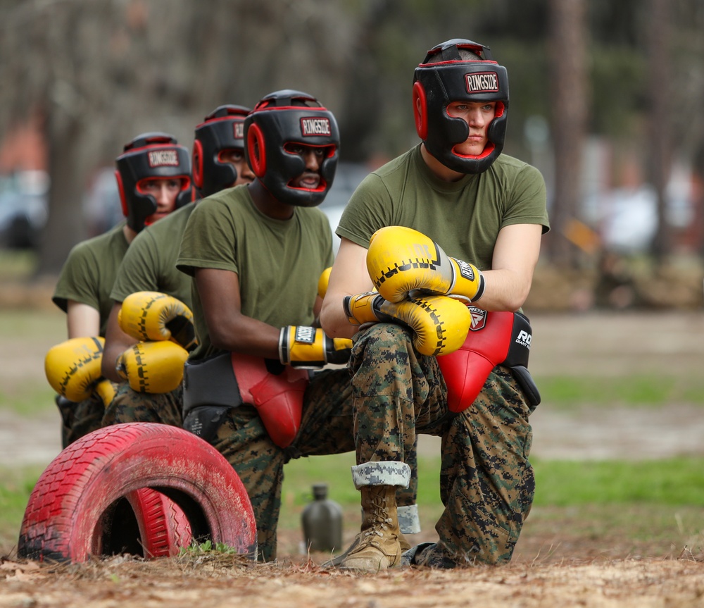 Hotel Company Body Sparring