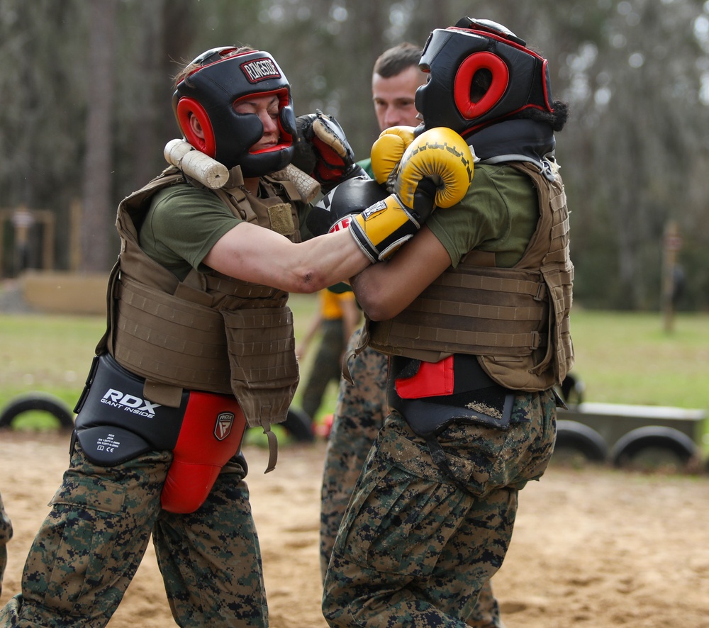 Hotel Company Body Sparring