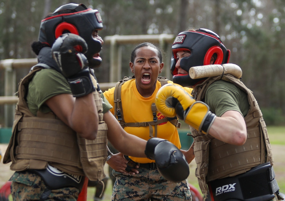 Hotel Company Body Sparring