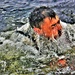 January 2023 cold-water immersion training up close at Fort McCoy