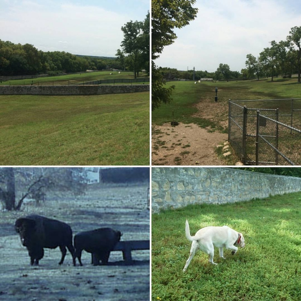 Fort Riley Dog Park formerly the Buffalo Corral