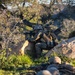 LAR Marines compete in 1st MARDIV squad competition
