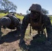 LAR Marines compete in 1st MARDIV squad competition