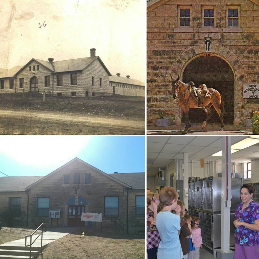 Veterinary Services at 226 Custer Ave