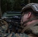 31st MEU platoon reinforcement