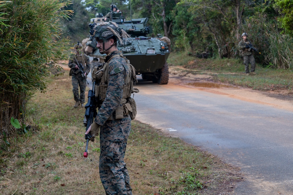 31st MEU platoon reinforcement