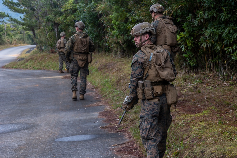 31st MEU platoon reinforcement