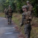 31st MEU platoon reinforcement