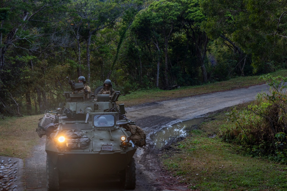 31st MEU platoon reinforcement