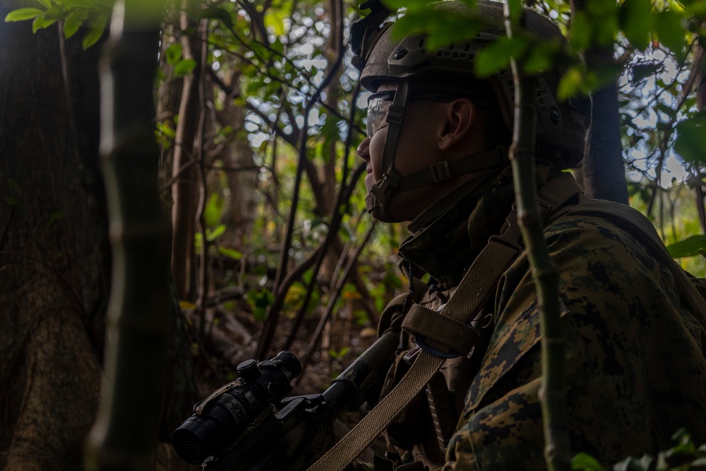 31st MEU platoon reinforcement