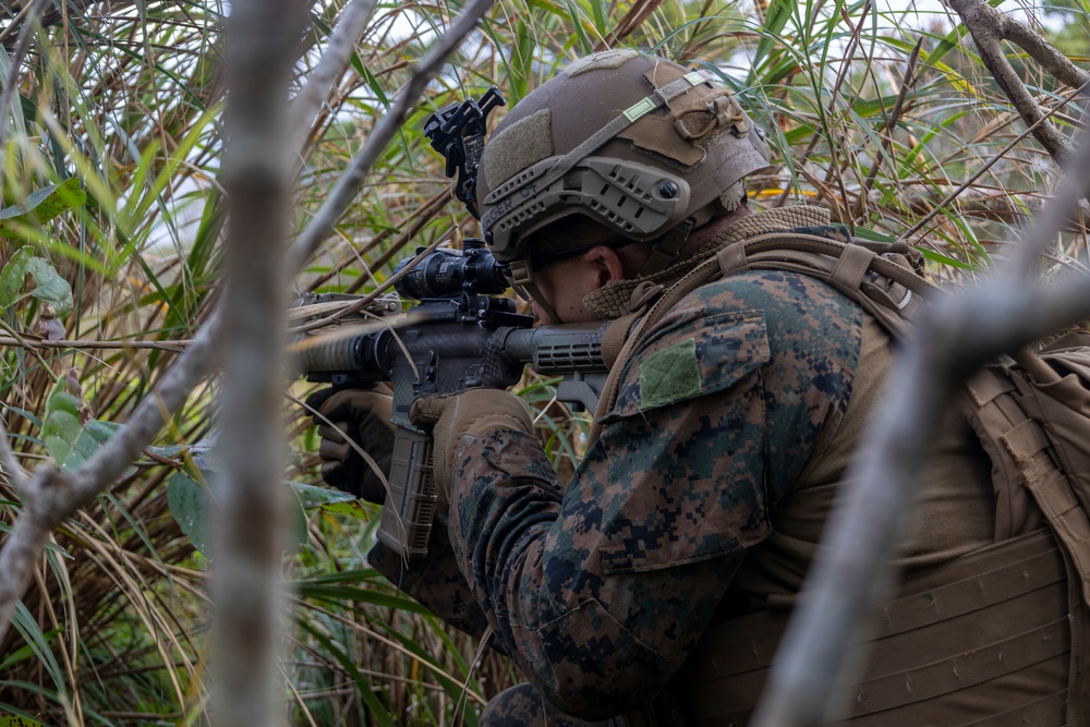 31st MEU platoon reinforcement