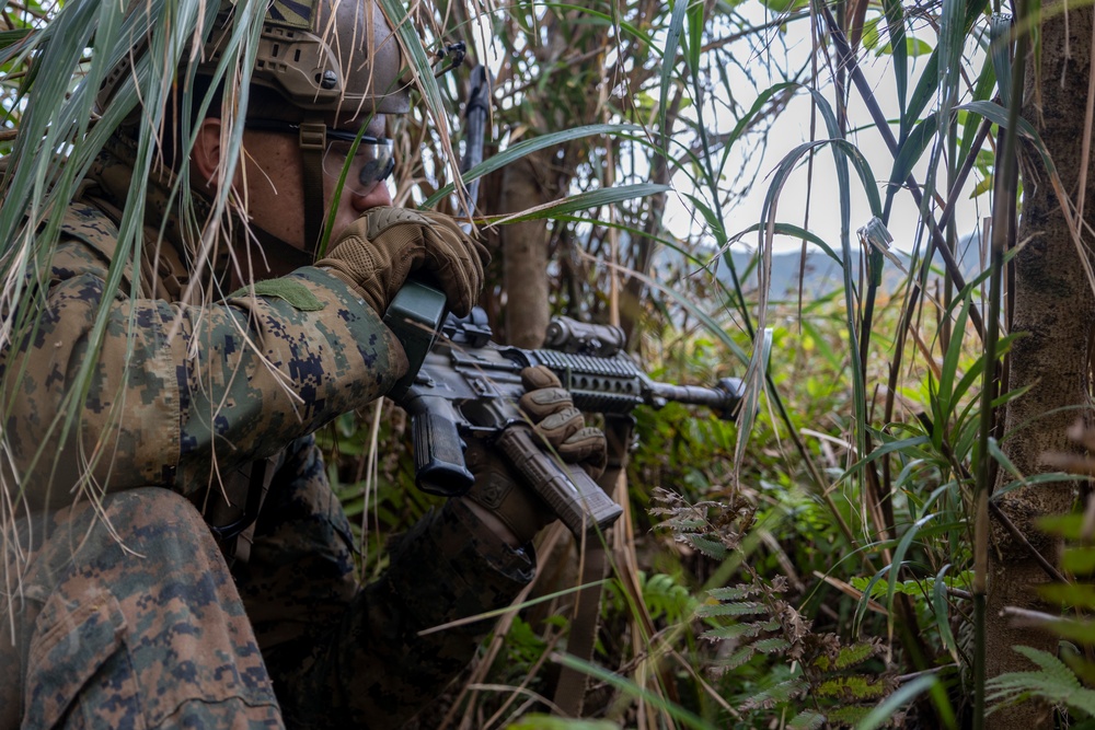 31st MEU platoon reinforcement