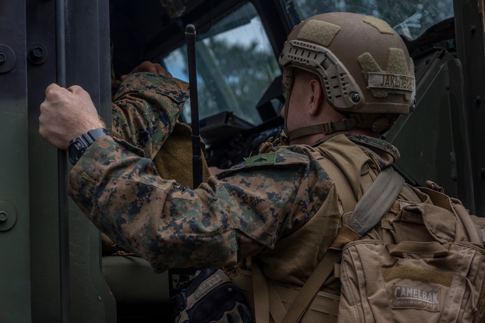 31st MEU platoon reinforcement