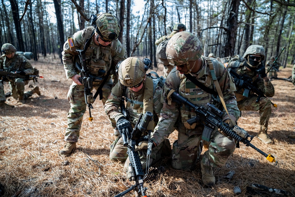 114th Infantry Regiment and 150th Aviation Regiment Air Assault Insertion and Company Attack