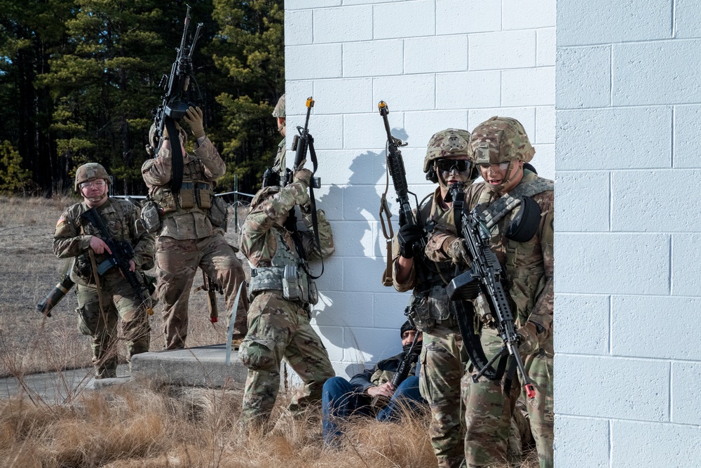 114th Infantry Regiment and 150th Aviation Regiment Air Assault Insertion and Company Attack