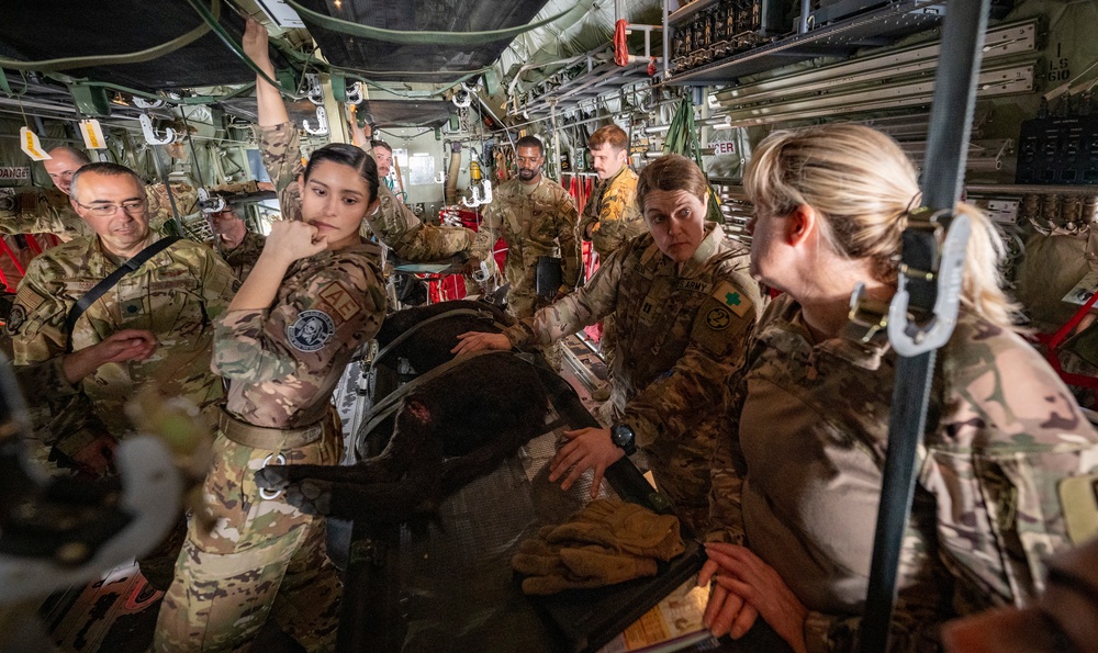 AASAB medical evacuation training enhances coalition partnership, skillsets