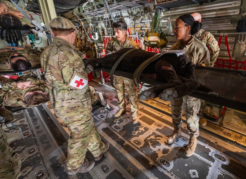 AASAB medical evacuation training enhances coalition partnership, skillsets