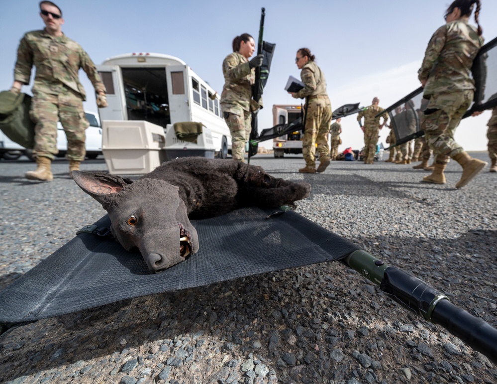 AASAB medical evacuation training enhances coalition partnership, skillsets