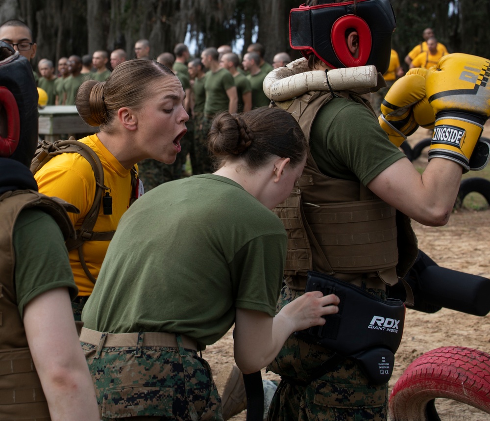 Hotel Company Body Sparring