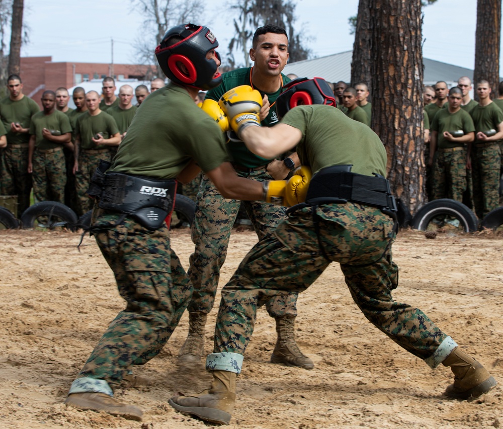 Hotel Company Body Sparring