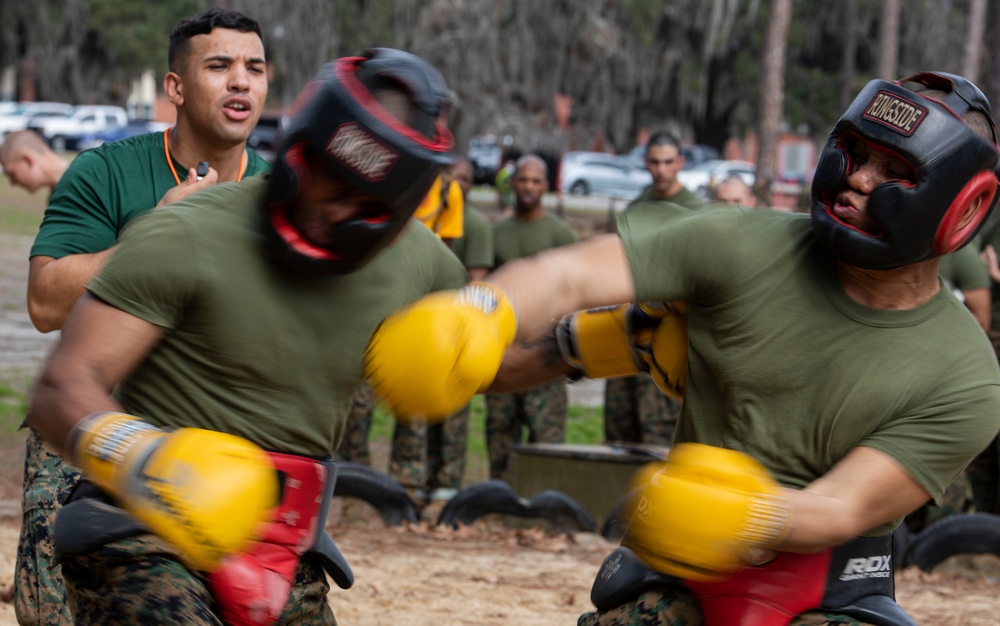 Hotel Company Body Sparring