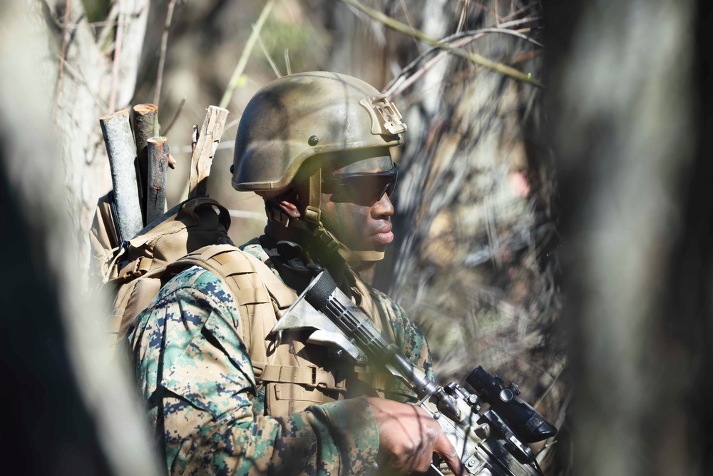 2nd Battalion, 1st Marines conduct a simulated air assault raid